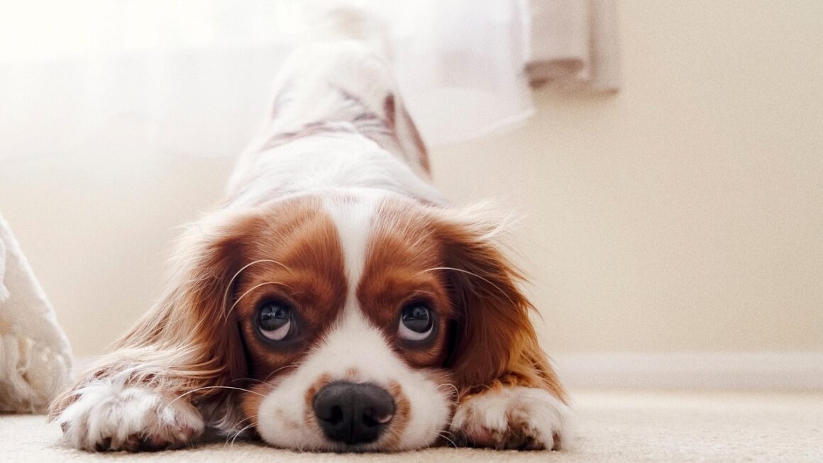 g7461601d03c5f5f87fc3ec8832f0435f5b1af911ef589700224ea8543da2f15e64e98668dcdd203daa6b980d4aa0b4ff01ff56edde3bbcba0f54204f60f91480 1280